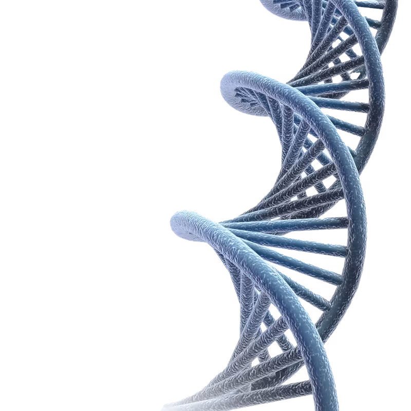 DNA Helix
